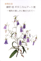 鎌野睦ボタニカルアート展／傘寿記念